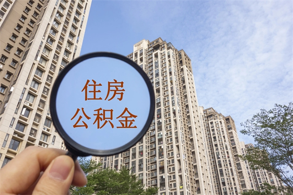 大悟公积金当天取出（公积金当天取当天能到账吗）